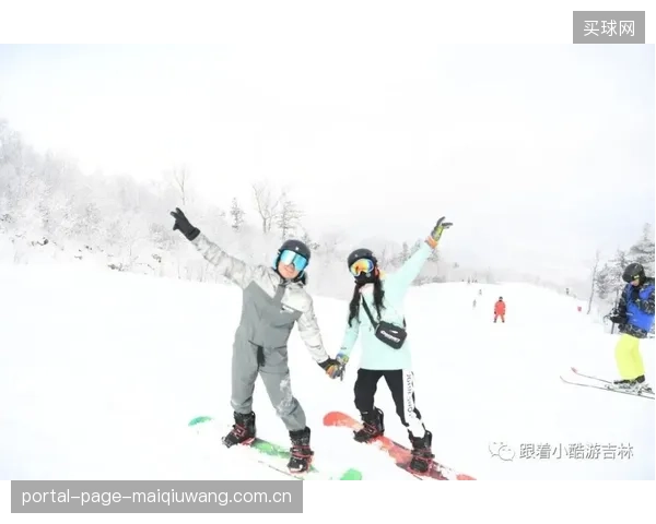 为什么沿用20年的磁轭式探伤法正在被头部滑雪场迅速清退?阵列式磁粉技术做对了什么? 为什么沿用20年的磁轭式探伤法正在被头部滑雪场迅速清退?阵列式磁粉技术做对了什么?